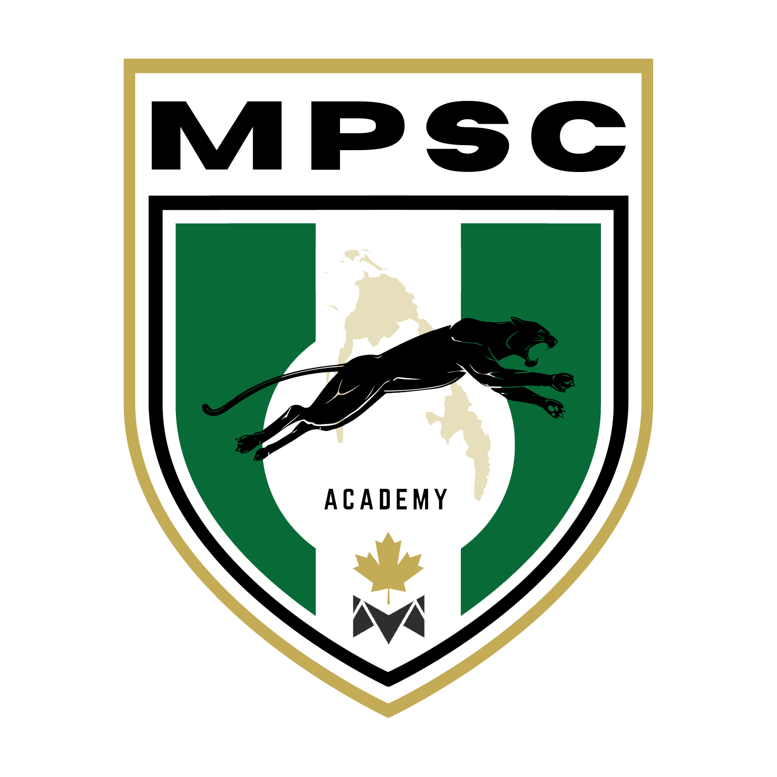 MPSC Academy Logo